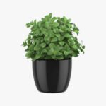 Artisanal Vase